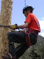 Spar pole climbing
